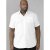 D555 Delmar Easy Iron-Shirt White - Chemises - Chemises Grandes Tailles Hommes