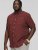 D555 DUNSTABLE S/S Micro AO Print Shirt Burgundy - Chemises - Chemises Grandes Tailles Hommes