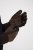 JP1880 811683 Gants en cuir Marron - Gants - 