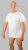 20 Nodi Mezzogiorno Sports T-Shirt White - T-shirts - T-shirts Homme Grande Taille
