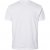 North Latitude T-Shirt 2-Pack White - T-shirts - T-shirts Homme Grande Taille