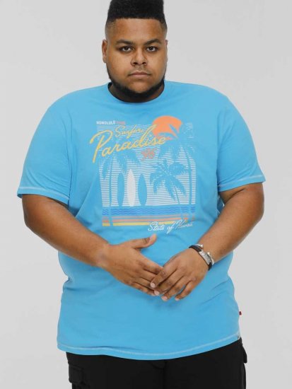 D555 AARON Surfers Paradise Printed Crew Neck T-Shirt Turquoise - T-shirts - T-shirts Homme Grande Taille