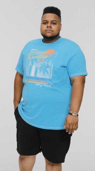 D555 AARON Surfers Paradise Printed Crew Neck T-Shirt Turquoise - T-shirts - T-shirts Homme Grande Taille