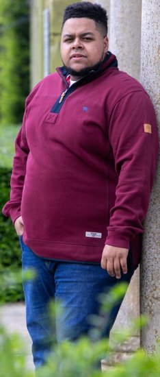 D555 HIRALDO Quarter Neck Pique Fleece Sweatshirt With Chest Embroidery Red - Sweatshirts & hoodies - Sweatshirts/Hoodies grande taille homme