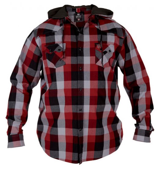 D555 Ashton - Chemises - Chemises Grandes Tailles Hommes