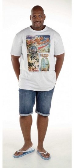 D555 Winthorp T-shirt White - T-shirts - T-shirts Homme Grande Taille