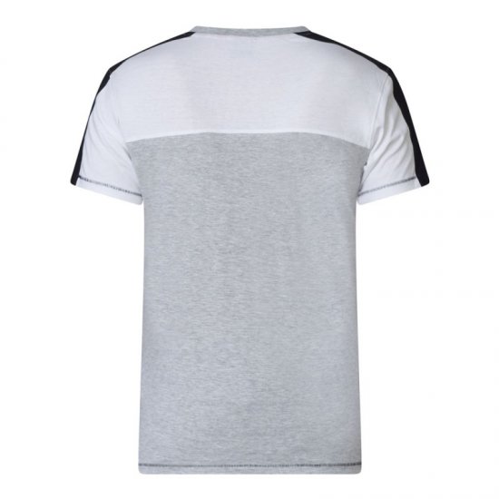 D555 Alvester T-shirt Grey - T-shirts - T-shirts Homme Grande Taille