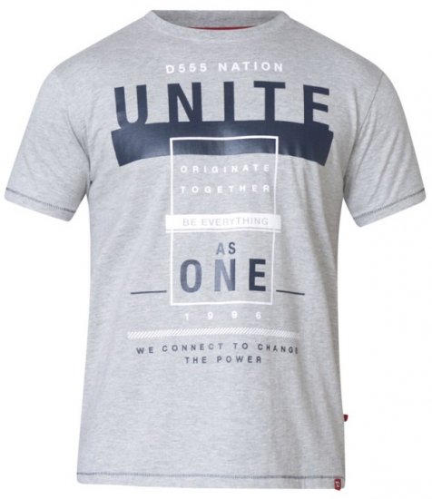 D555 Phillip T-shirt Grey - T-shirts - T-shirts Homme Grande Taille
