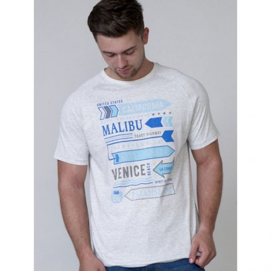D555 Norris T-shirt Grey - T-shirts - T-shirts Homme Grande Taille