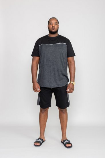 D555 NEWBURY T-Shirt - T-shirts - T-shirts Homme Grande Taille