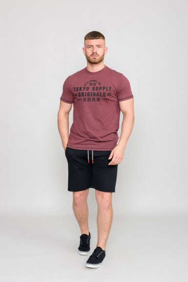 D555 LINTON Printed T-Shirt - T-shirts - T-shirts Homme Grande Taille