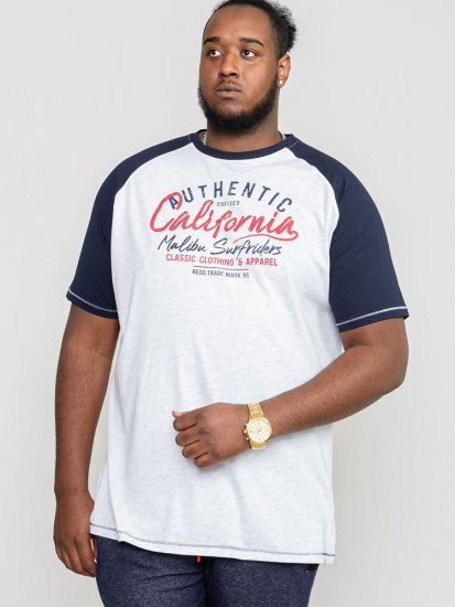 D555 SPARROW Printed T-Shirt - T-shirts - T-shirts Homme Grande Taille