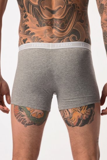 JP1880 Boxershorts Flexnamic OEKO-TEX Mid 2-Pack Grey/Off-White - Sous-vêtements & bain - Sous-vêtements Grande Taille