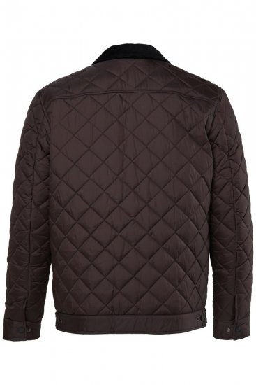 JP1880 811805 Veste matelassée à col velours côtelé Brun noir - Vestes - Vestes Homme Grandes Tailles