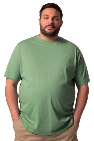 Men+ 276 T-shirt col rond Vert - T-shirts - T-shirts Homme Grande Taille