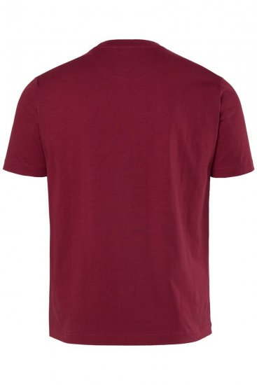 Men+ 219 T-shirt Palmiers Brun cuivré - T-shirts - T-shirts Homme Grande Taille