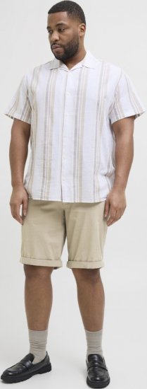 Jack & Jones Dave Chino Shorts Beige - Shorts - Shorts hommes grande taille