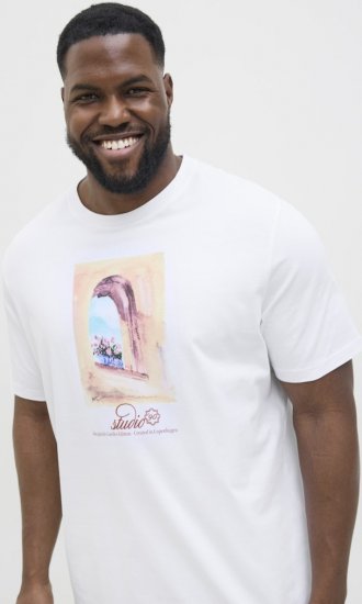 Jack & Jones Hydra Crew Neck T-Shirt Bright White - T-shirts - T-shirts Homme Grande Taille