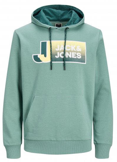 Jack & Jones JCOLOGAN Hoodie Trellis - Sweatshirts & hoodies - Sweatshirts/Hoodies grande taille homme