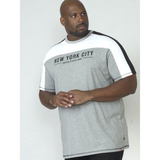 D555 Alvester T-shirt Grey - T-shirts - T-shirts Homme Grande Taille