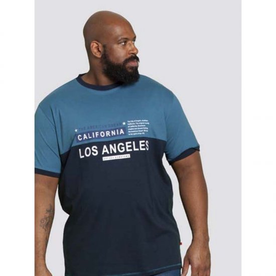 D555 Jackson T-shirt Teal - T-shirts - T-shirts Homme Grande Taille