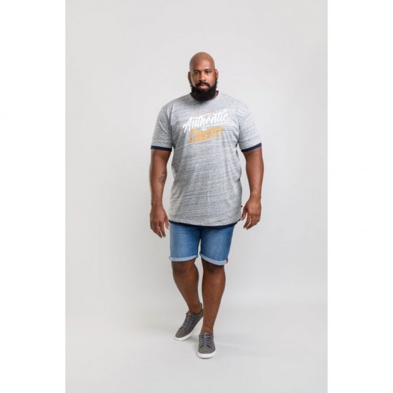 D555 Finn T-shirt Grey - T-shirts - T-shirts Homme Grande Taille