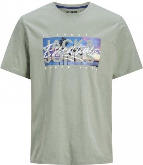Jack & Jones Colton Photoprint Crew Neck T-Shirt Iceberg Green - T-shirts - T-shirts Homme Grande Taille
